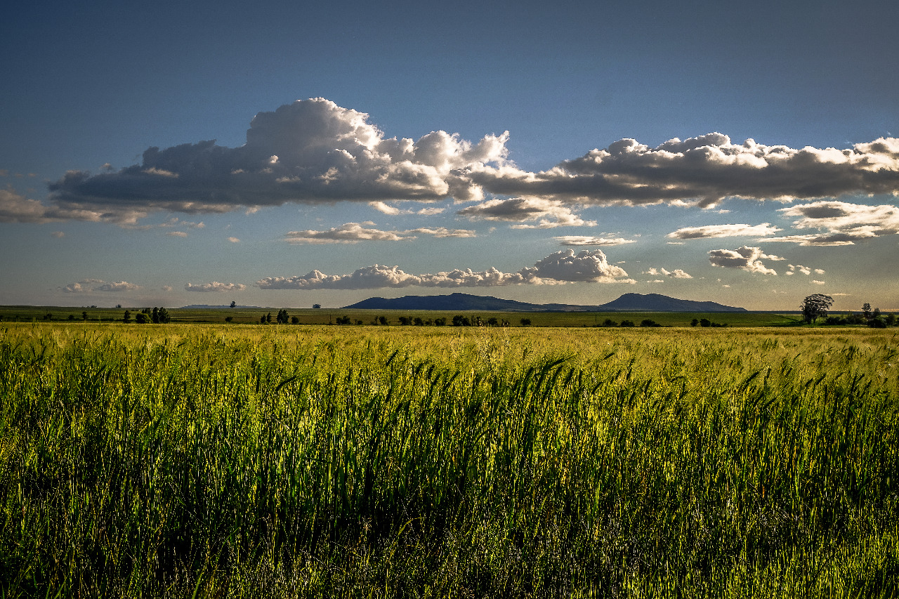 Winter Tastings, Farm Life and Slow Escapes in Porterville