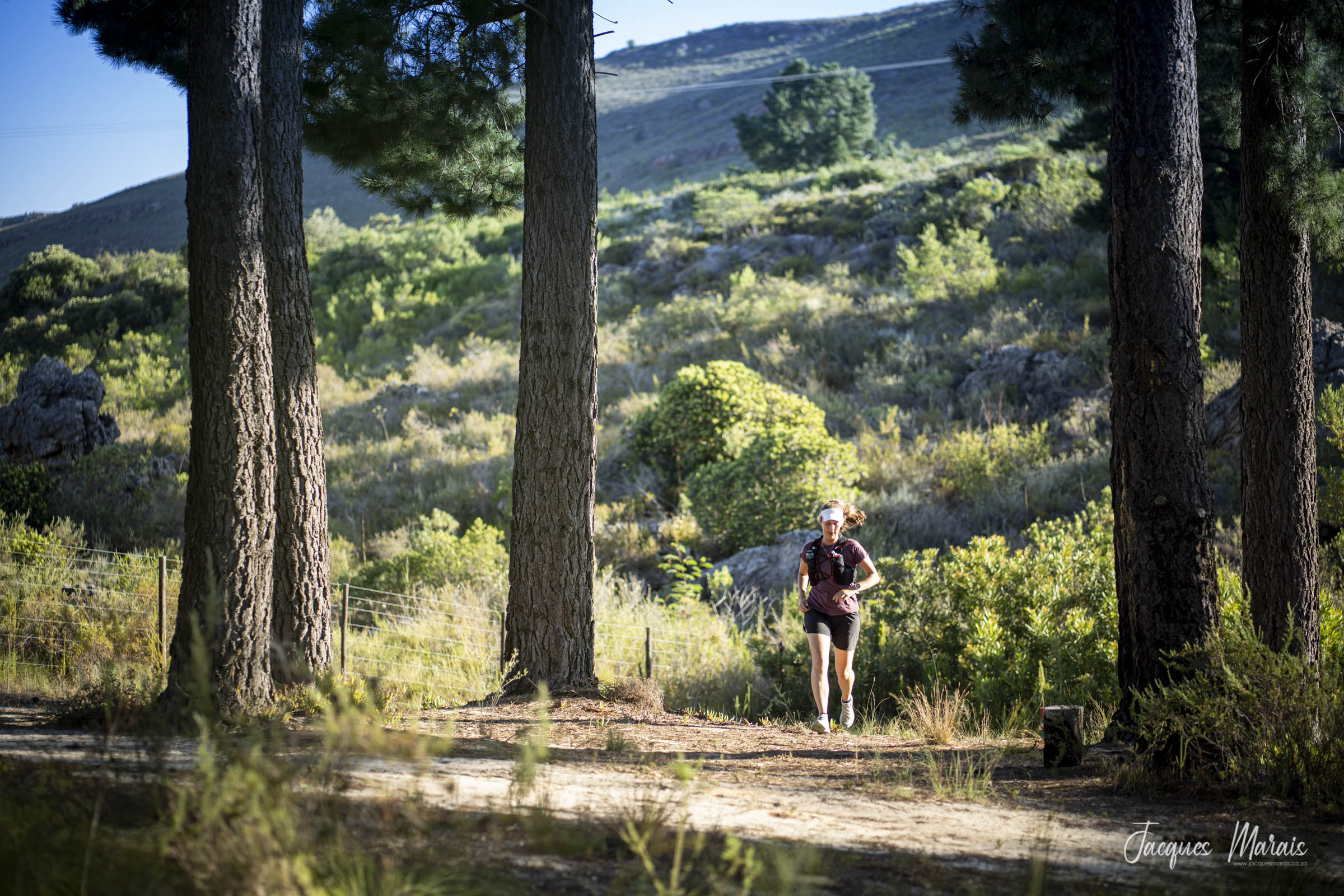 Green Piketberg Route 366: A New Way to Experience the West Coast