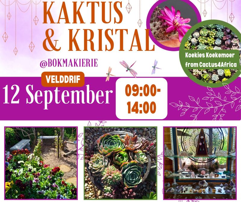 Kaktus & Kristal